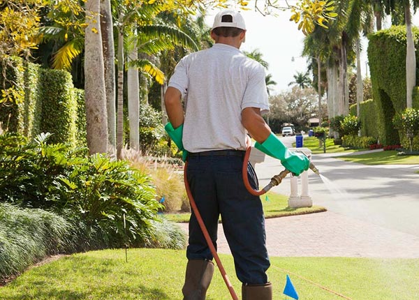 About Holmdel NJ Pest Control Pros